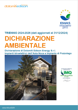 Dichiarazione ambientale